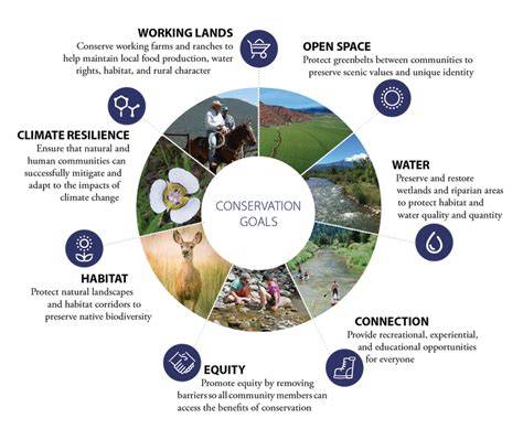 Strategies for conservation planning and management of terrestrial ... - raincitystudios.com