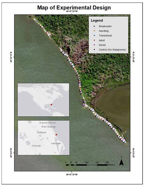 Strategies for Successful Mangrove Living Shoreline … - raincitystudios.com
