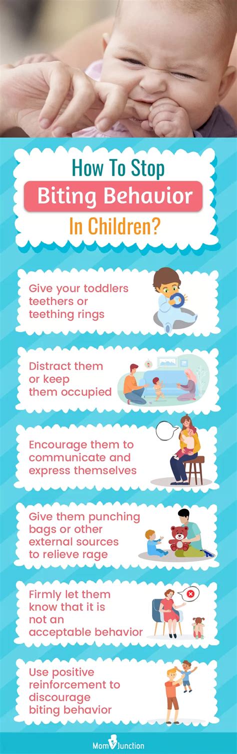 Strategies To Prevent Biting In Toddlers - Aussie … - balustradellc