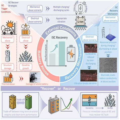 Strategy and mechanism for external-induced recovery … - balustradellc