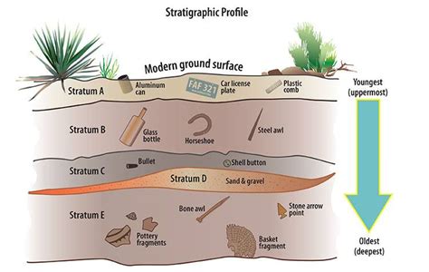 Stratigraphy (archaeology) - wintechmobiles.com