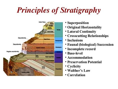 Stratigraphy Definition, Principles & Types - wintechmobiles.com