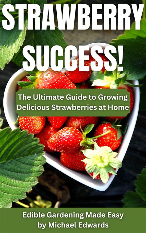 Strawberry growing success - ABC Organic Gardener … - balustradellc