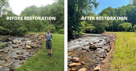 Stream/Habitat Restoration | Issaquah, WA - Official Website - raincitystudios.com
