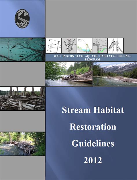 Stream Habitat Restoration Guidelines (April 2012 Draft) - raincitystudios.com