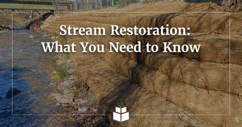 Stream restoration - raincitystudios.com