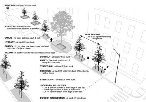 Street Tree Planting Standards for New York City - raincitystudios.com