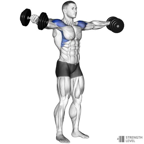 Strength Level - Weightlifting Calculator … - balustradellc