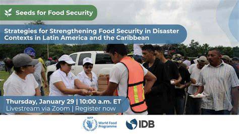 Strengthening Food Security - raincitystudios.com