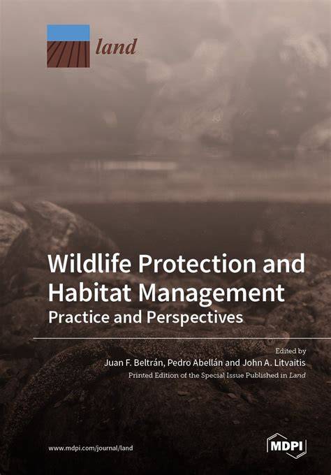 Strengthening Protection and Habitat Management for … - raincitystudios.com