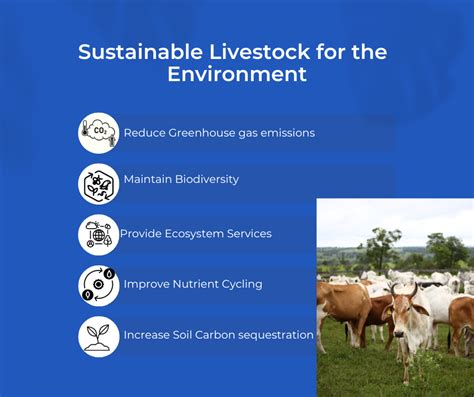 Strengthening sustainable livestock systems through animal science - muktibox.com