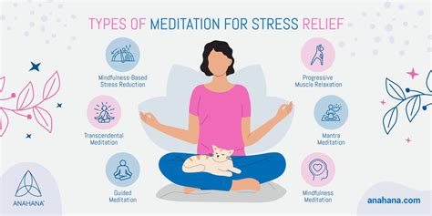 Stress Management: Meditation, Relaxation, Health … - balustradellc