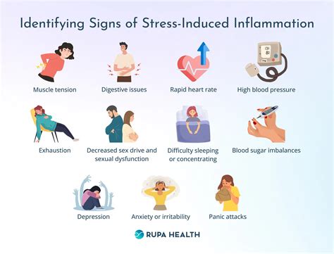 Stress Might Be Causing Chronic Inflammation in Your … - balustradellc
