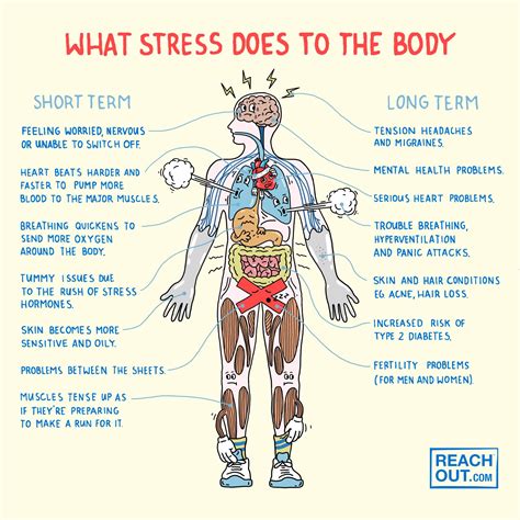 Stress Symptoms: Physical Effects of Stress on the Body - balustradellc