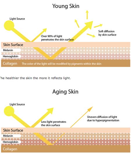 Strigil — definition & quiz | Ultimate Lexicon - wintechmobiles.com