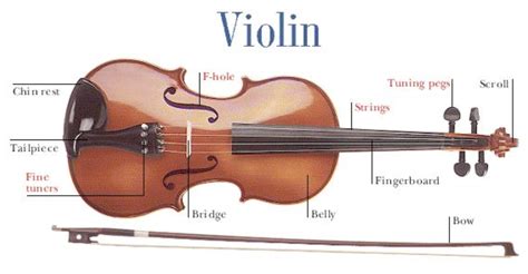 Stringed bowed instruments. Construction, varieties, timbre and ... - balustradellc