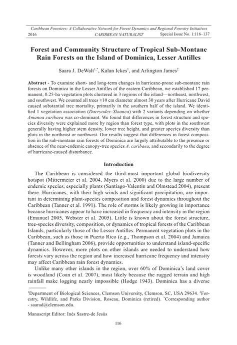 Structure and Dynamics of the Upper Montane Rain Forests of - raincitystudios.com