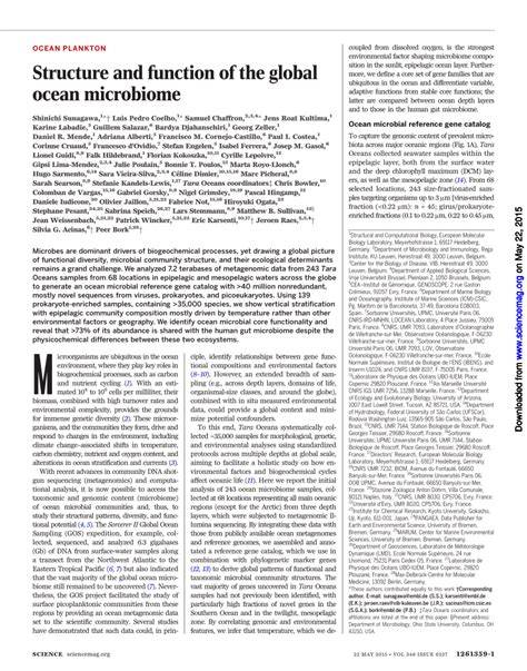 Structure and function of the global ocean microbiome - raincitystudios.com