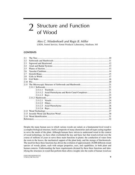 Structure and Function of Wood - raincitystudios.com