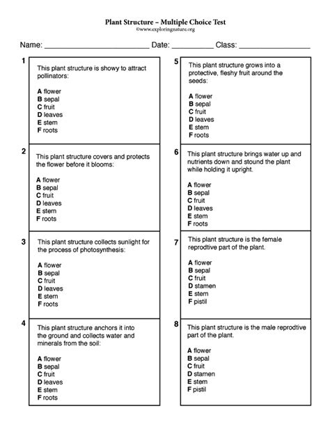 Structure And Test