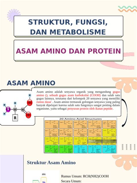 Struktur Dan Fungsi Asam Amino Halaman 1 - wintechmobiles.com