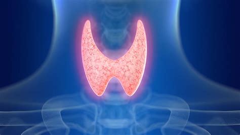 codini.rgarabwor.edu.pl. 