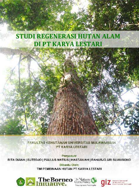 STUDI REGENERASI HUTAN ALAM DI PT KARYA LESTARI - raincitystudios.com