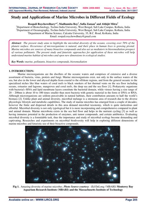 Study and Applications of Marine Microbes in Different Fields of Ecology - raincitystudios.com