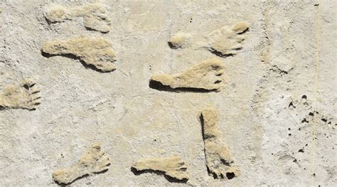 Study confirms age of oldest fossil human footprints in … - wintechmobiles.com