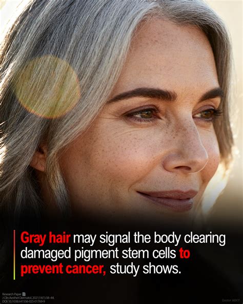 Study finds gray hair may reflect stem cell damage increasing ... - balustradellc