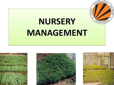 Study Notes Raising and Management of Nursery - ixambee - raincitystudios.com