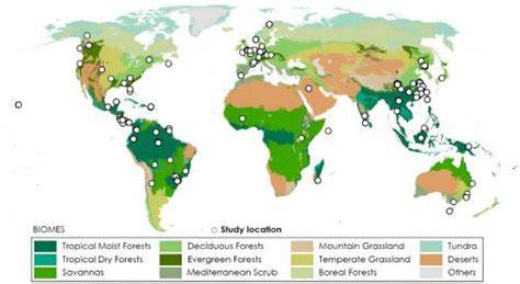 Study reveals crucial role of invertebrates as eco-custodians in global ... - raincitystudios.com