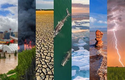 Study Reveals Moderate Warming's Severe Climate Impacts - raincitystudios.com