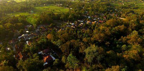 Study shows Village Forests in Indonesia can protect … - raincitystudios.com