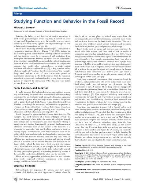 Studying Function and Behavior in the Fossil Record - raincitystudios.com