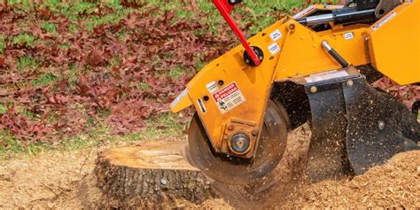 Stump Grinding | Old Growth Tree Services | Grand Rapids - raincitystudios.com
