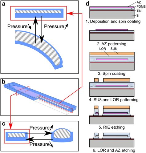 SU8 etch mask for patterning PDMS and its application to flexible ...