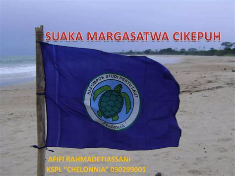 Suaka Marga Satwa Baluran - balustradellc