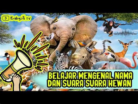 Suara Hewan Lainnya - balustradellc