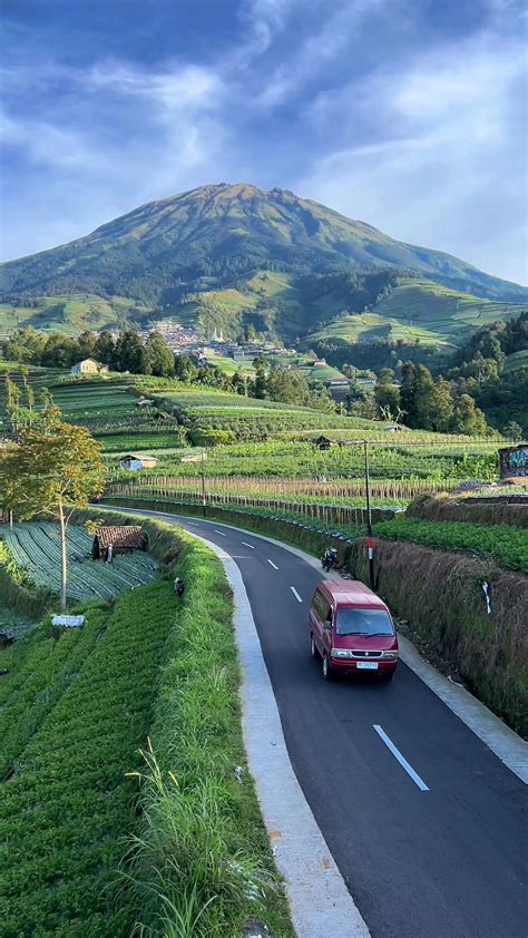 Suasana pagi hari di lereng gunung sumbing - balustradellc