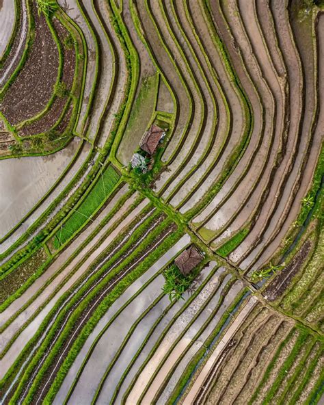 Subak - The Ancient Practice Underlying the Water Temples of Bali - wintechmobiles.com