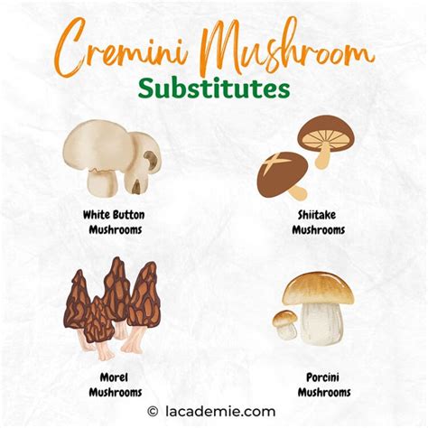 Substitute Cremini Mushrooms - balustradellc