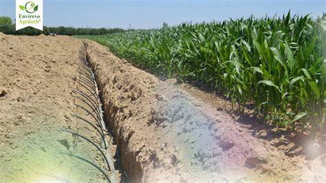 Subsurface Irrigation - raincitystudios.com