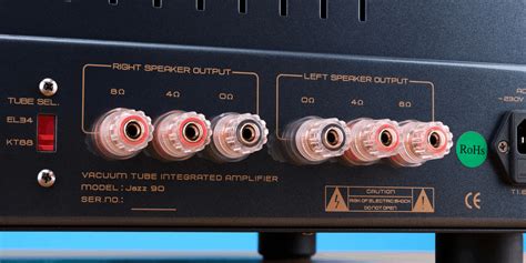 Subwoofer richtig anschließen: So geht es - Teufel Blog - balustradellc