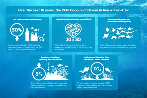 Success Stories in Ocean Conservation - muktibox.com