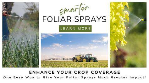 Success with foliar sprays - Life is a Garden - raincitystudios.com