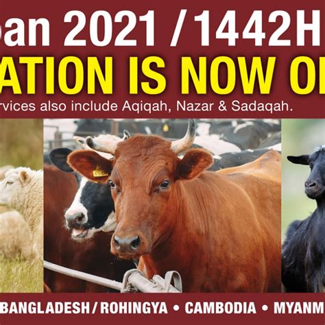 Successful Gourami Fish Cultivation || Average Weight 1.2 kg || Big ... - balustradellc