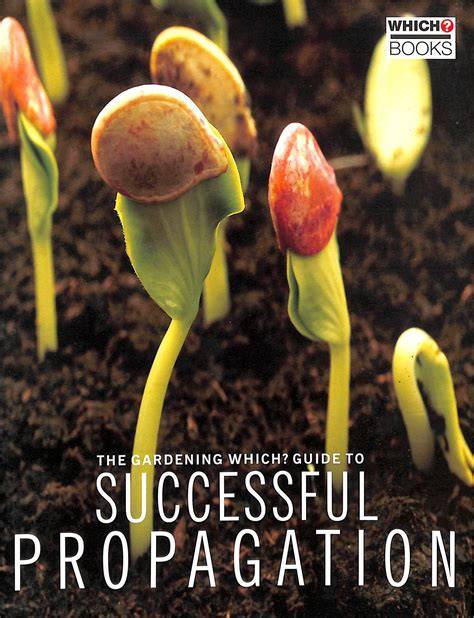 Successful Propagation Guide - Root It - raincitystudios.com