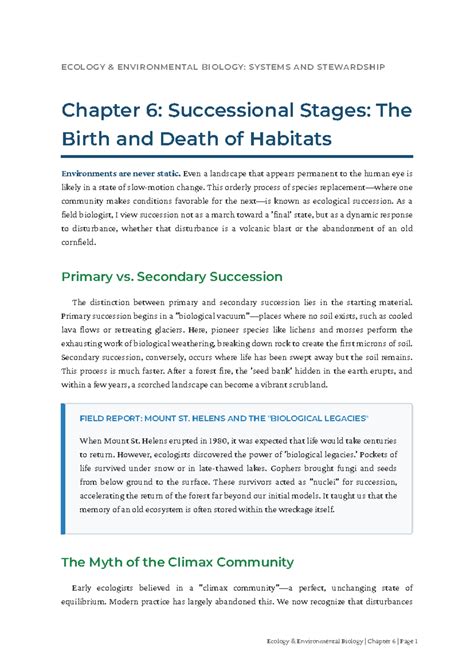 Successional Stages - Network of Nature - raincitystudios.com