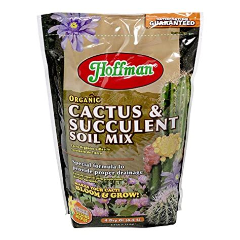 Succulent Soil Standouts: 5 Potting Mixes That … - balustradellc